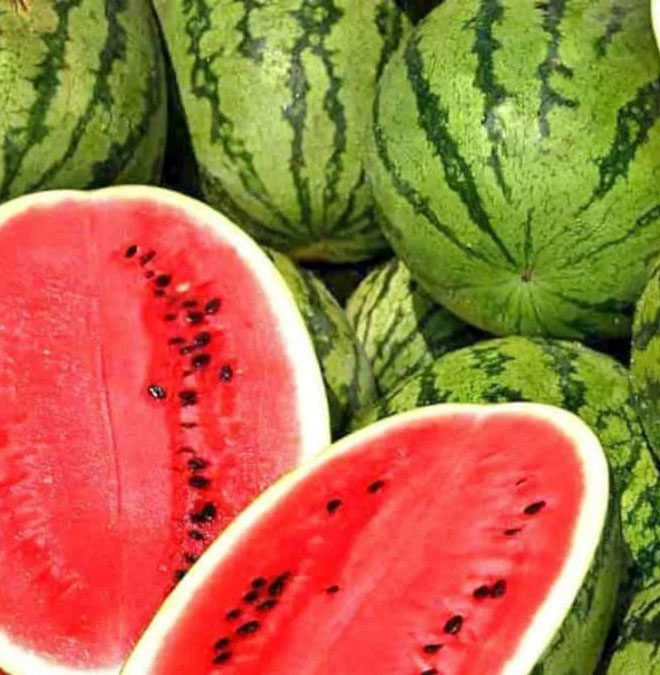 هندوانه
