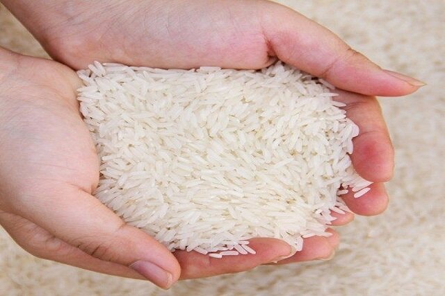 برنج هاشمی