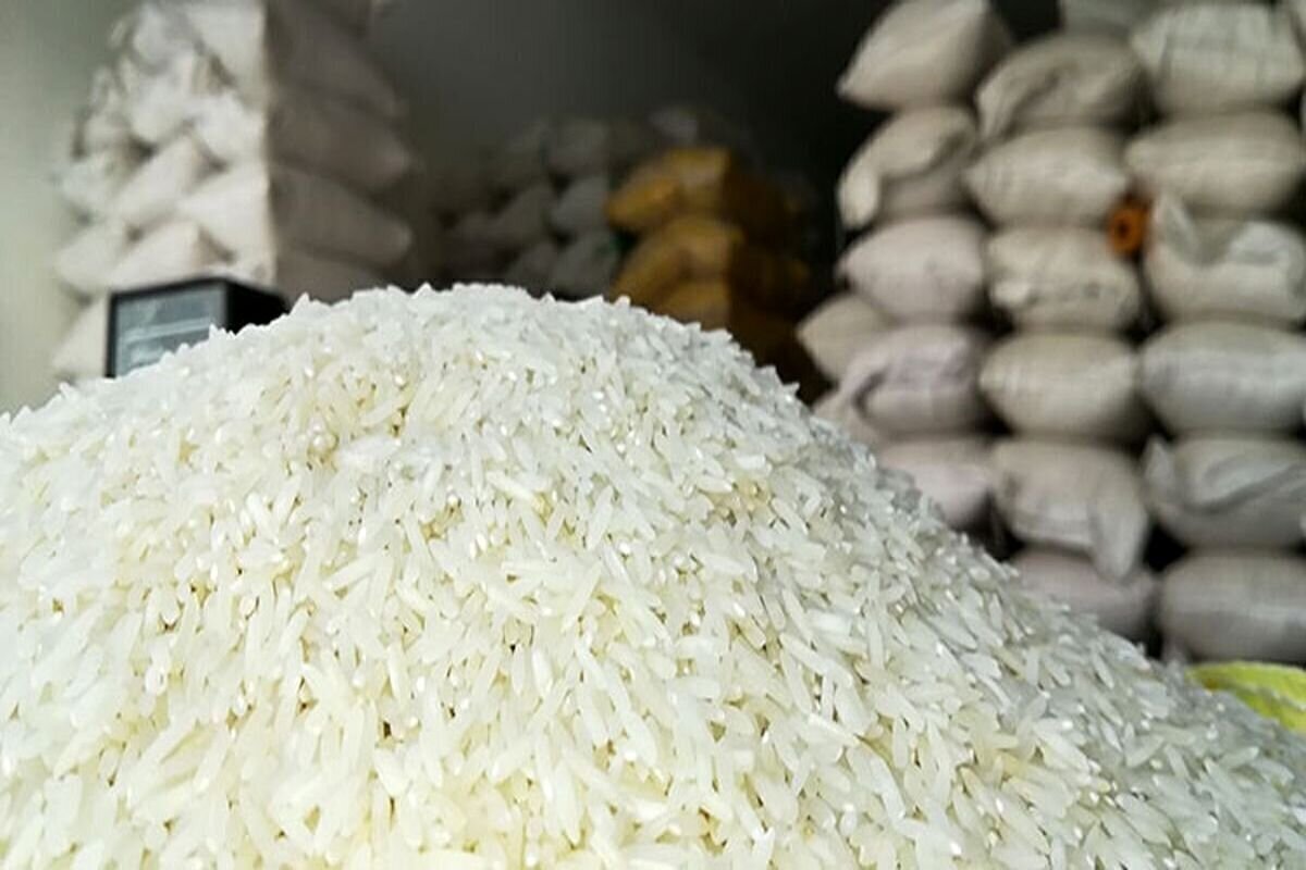 برنج هاشمی