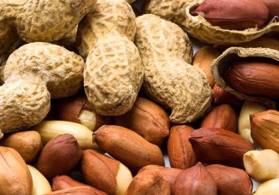 peanut-1-3