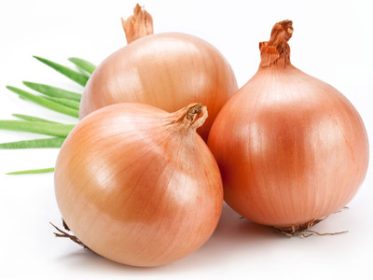 onion-therapeutic1-e7