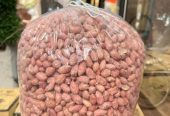بادام زمینی تولید مغان