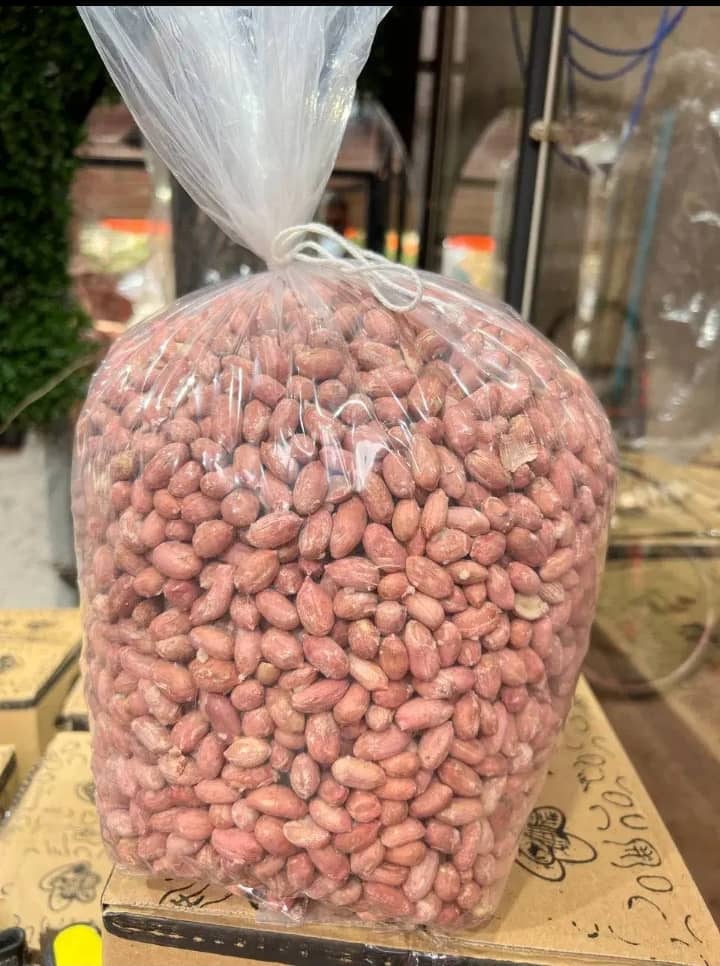 بادام زمینی تولید مغان