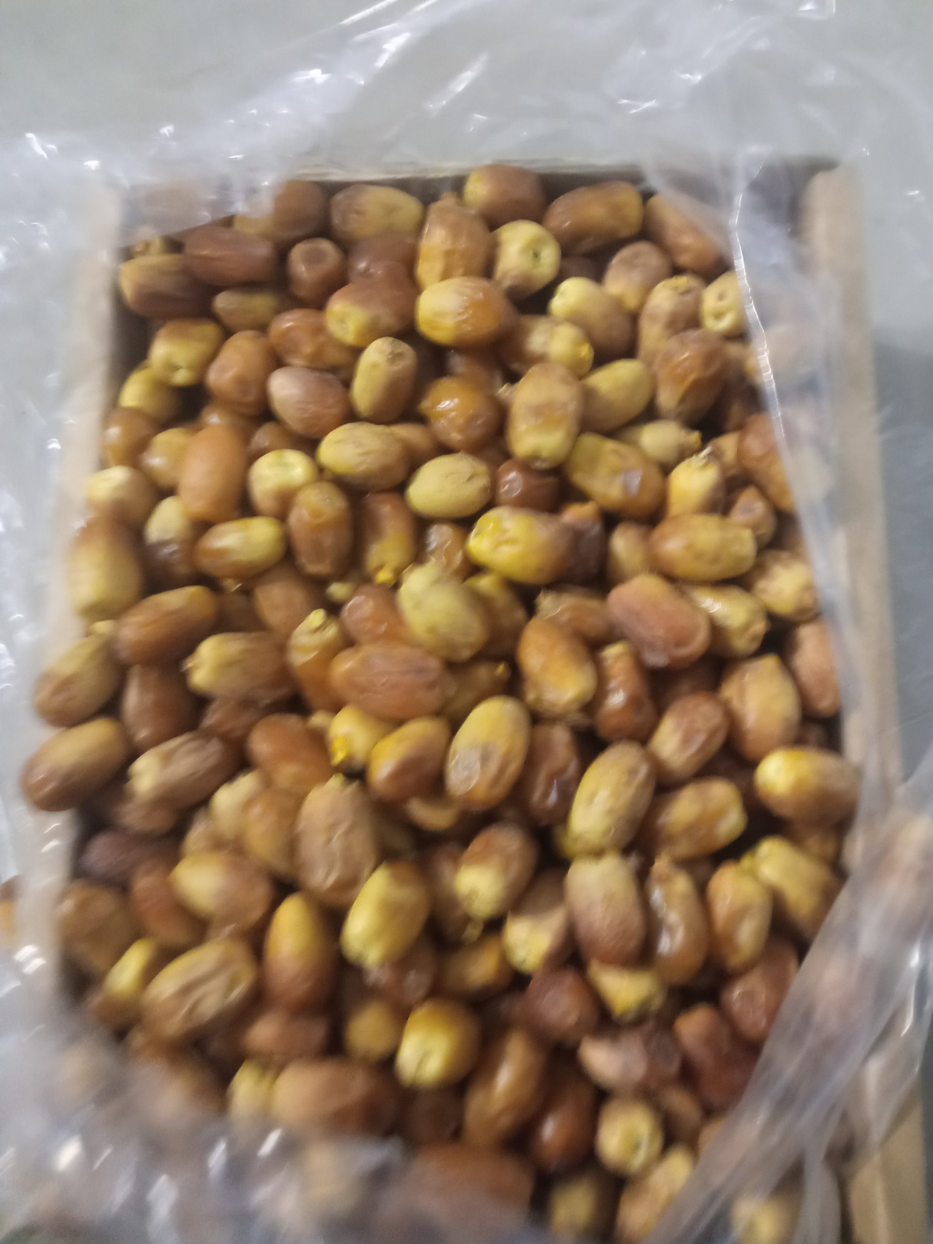 خرمای زاهدی