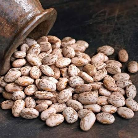 لوبیا چیتی پارس آباد