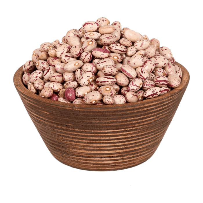 لوبیا چیتی مغان