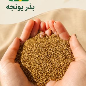 بذر-یونجه