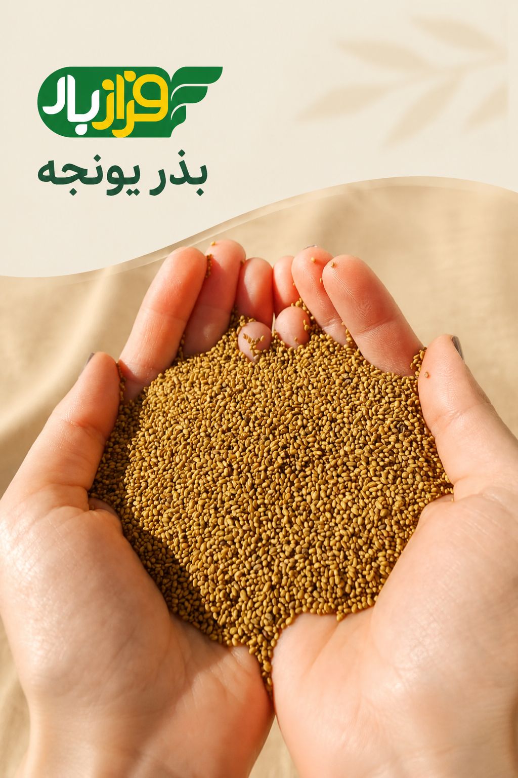 بذر یونجه ارس بذر